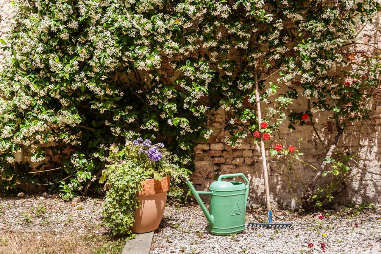 Hostly - Garden House Near The Tower - Historical House With Private Garden Pisa Exterior foto
